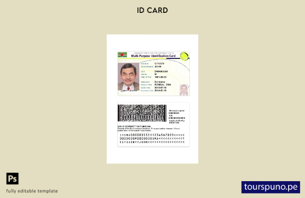 Plantilla de tarjeta de identificación multiusos lista para imprimir de los Esta